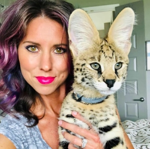 Savannah cat for sale